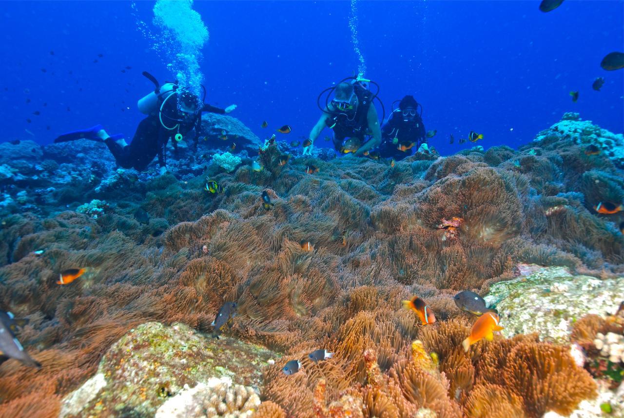 Reef Resort Vava'U Utungake Εξωτερικό φωτογραφία